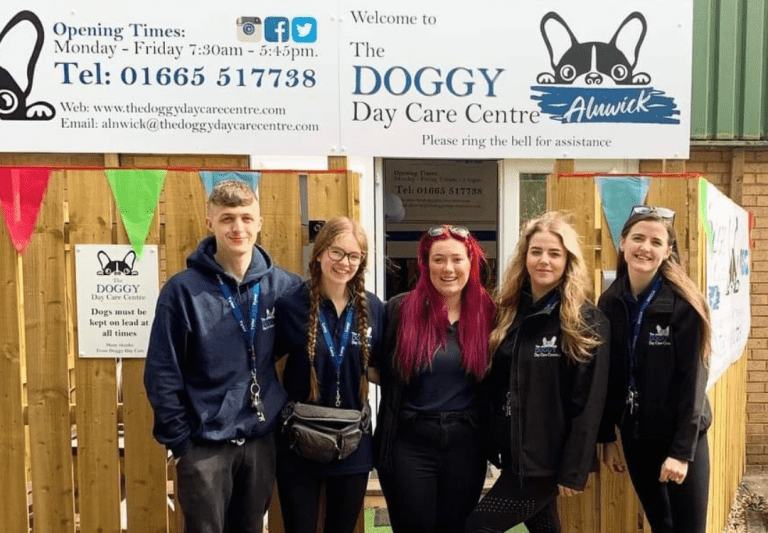 https://thedoggydaycarecentre.com/wp-content/uploads/2022/10/alnwick-team-768x533.png