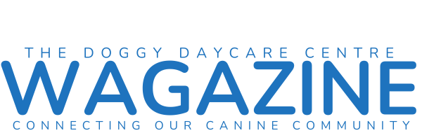 https://thedoggydaycarecentre.com/wp-content/uploads/2023/10/WAGAZINE-PAGE-HEADER.png