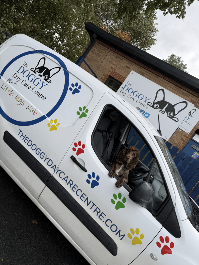 https://thedoggydaycarecentre.com/wp-content/uploads/2025/10/IMG_9596-640x853.png