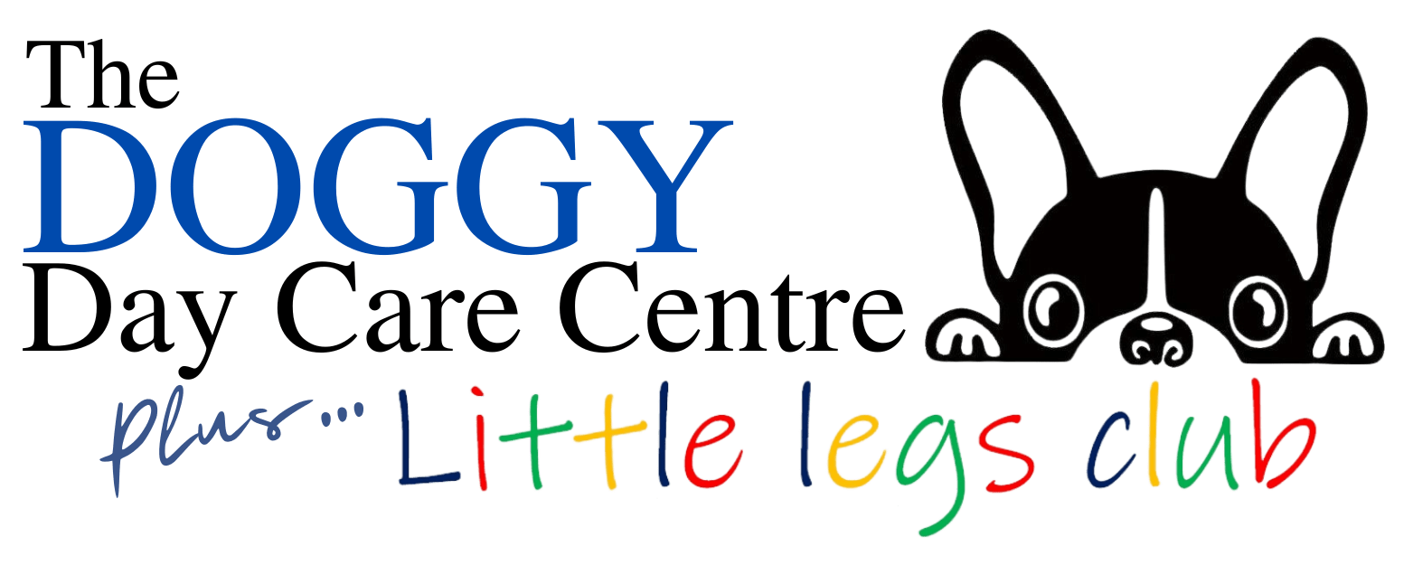 The Doggy Day Care Centre