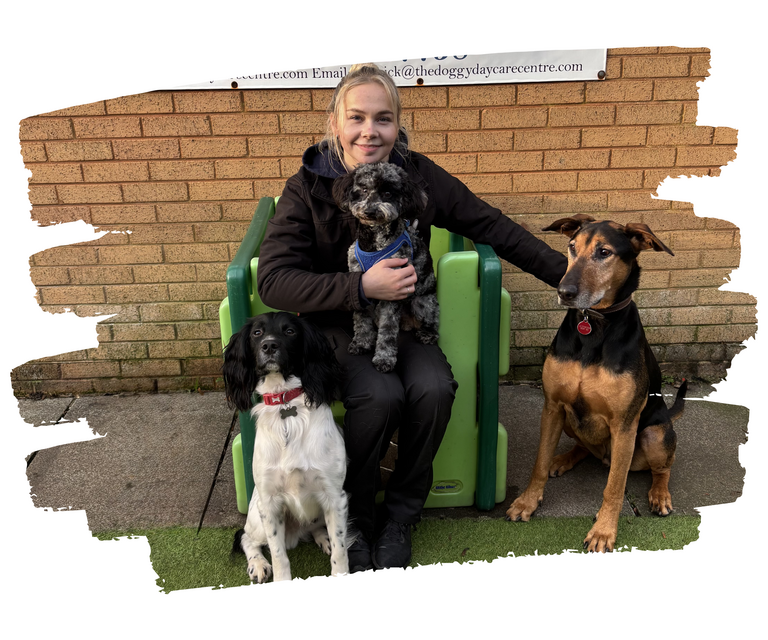 https://thedoggydaycarecentre.com/wp-content/uploads/2025/12/jess-768x640.png